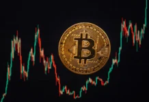 BTC/USD Movements and Their Impact on Global Investments bitcoin usd