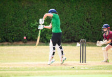 cricbet99 Feels Like That Late-Night Cricket Chat You Accidentally Join Online cricbet99