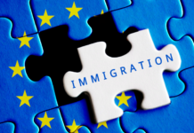 Business Immigration to Hungary: Why Company Formation May Be the First Step immigration