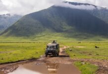 The Ultimate Guide to Campgrounds in Tanzania (2026) self-drive safari in Ngorongoro
