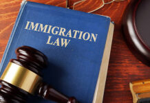 What to Expect During Your Immigration Case in Dallas Dallas Immigration Attorney