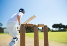 Cricket Betting at YesPlay Is Fun and Easy yesplay